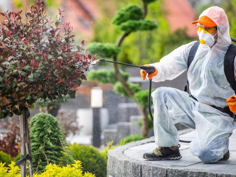 Şişli Haşere İlaçlama