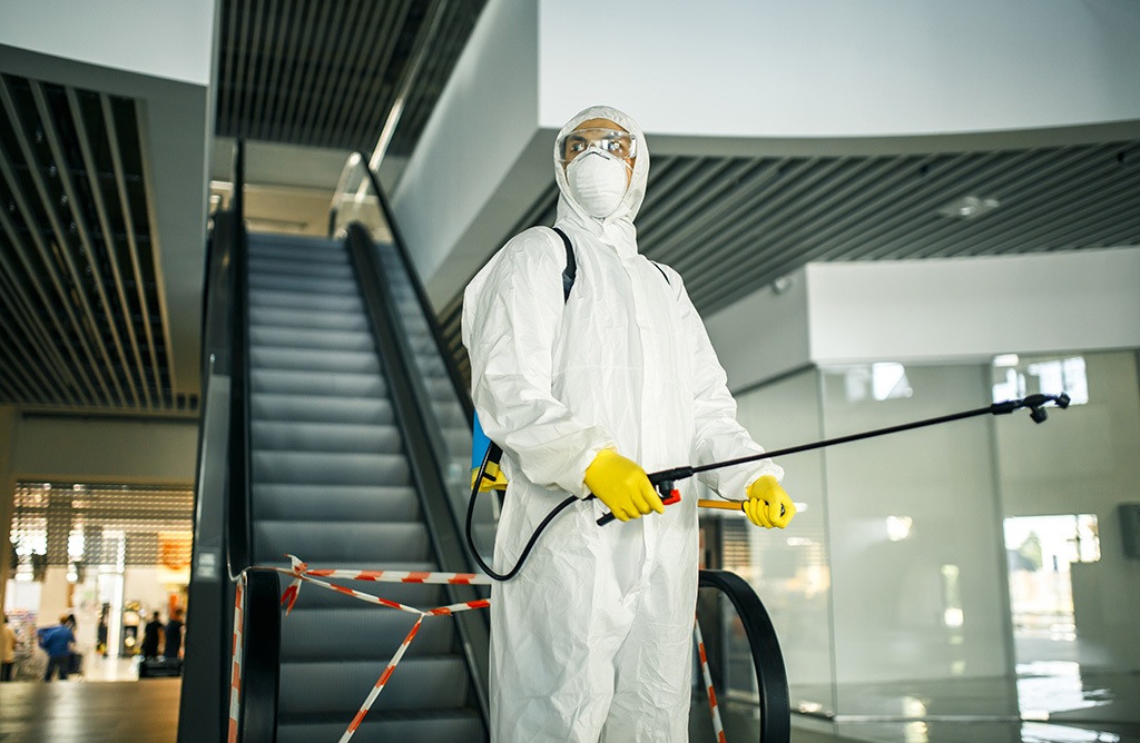 Şişli Haşere İlaçlama